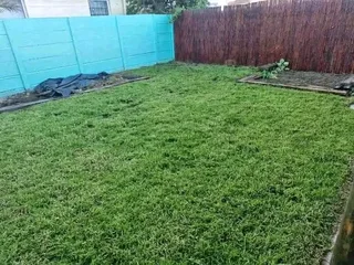 Roll on lawn Kikuyu grass