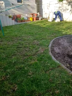 Roll on lawn Kikuyu grass