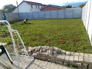 We do sell call type of national grass