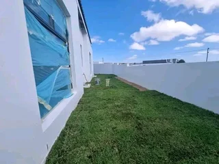 Roll on lawn Lm Berea grass Kikuyu grass and buffalo grass