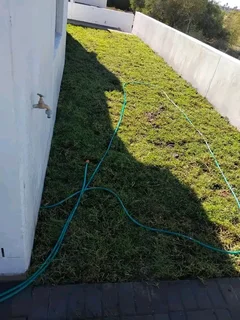 Roll on lawn Lm Berea grass Kikuyu grass and buffalo grass