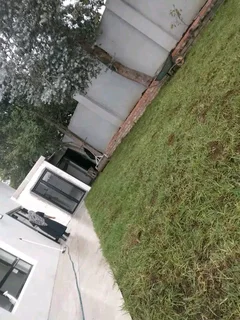 Roll on lawn Lm Berea grass Kikuyu grass and buffalo grass