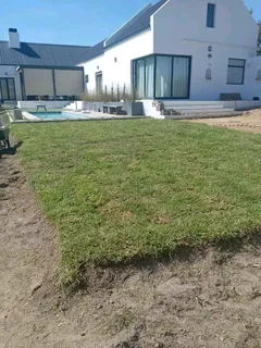 Roll on lawn Lm Berea grass Kikuyu grass and buffalo grass