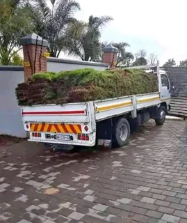 Kikuyu grass supply and installa