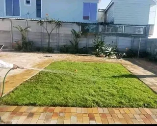 Roll on lawn Kikuyu grass and buffalo grass