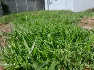 Delivery or installa call type of national grass