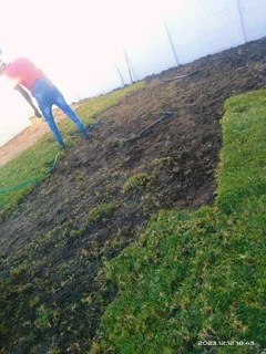 Delivery or installa call type of national grass