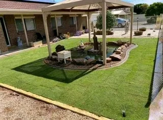 Roll on lawn Lm Berea grass