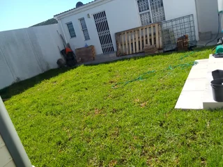 Roll on lawn Lm Berea grass