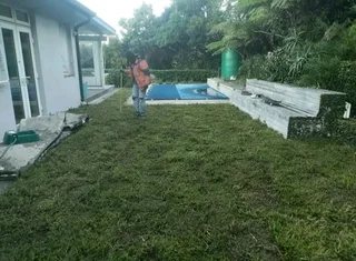 Roll on lawn Lm Berea grass