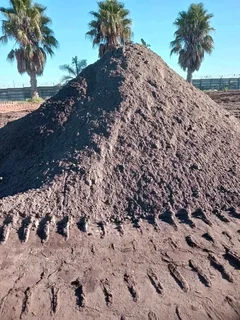 GREEN AND FRESH GRASS STRAIGHT FROM THE FARM  WhatsApp number 0672707801 PROFESSIONALS WITH IMMENSE