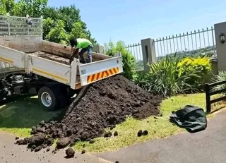 GREEN AND FRESH GRASS STRAIGHT FROM THE FARM  WhatsApp number 0672707801 PROFESSIONALS WITH IMMENSE