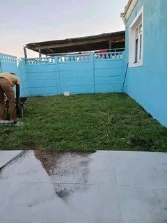 GREEN AND FRESH GRASS STRAIGHT FROM THE FARM  WhatsApp number 0672707801 PROFESSIONALS WITH IMMENSE