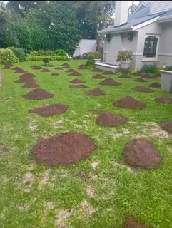 We do supply and installa lawn dressing and compost weed free