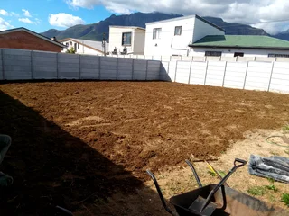 Roll on lawn Lm Berea grass