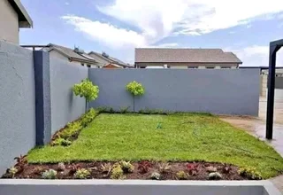 Delivery or installa call type of roll on lawn Kikuyu grass