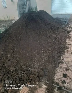 Delivery or installa call type of roll on lawn Kikuyu grass