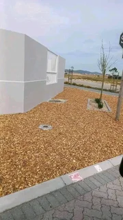 Roll on  lawn Kikuyu grass