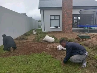 We do supply and installa buffalo grass and Kikuyu grass