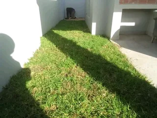 We do supply and installa buffalo grass and Kikuyu grass