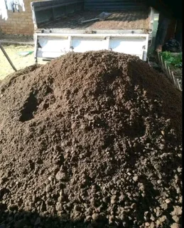 We do supply and installa buffalo grass and Kikuyu grass