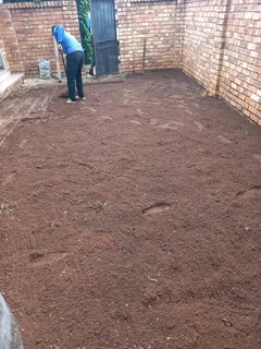 Roll on lawn Kikuyu grass