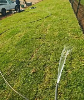 Roll on lawn Kikuyu grass and compost weed free