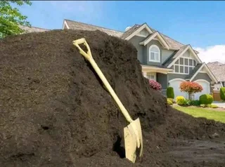 Roll on lawn Kikuyu grass and compost weed free