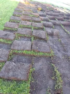 Roll on lawn Kikuyu grass and compost weed free