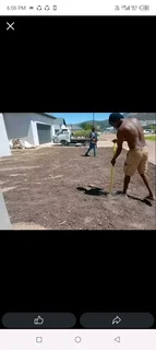 Roll on lawn Lm Berea grass