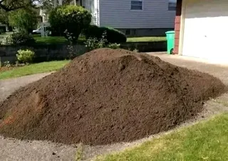 Roll on lawn Lm Berea grass and Kikuyu grass