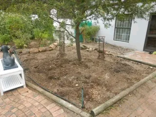 Roll on lawn Lm Berea grass and Kikuyu grass