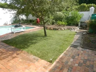 Roll on lawn Lm Berea grass and Kikuyu grass