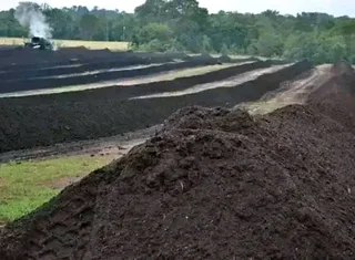 Roll on lawn Lm Berea grass and Kikuyu grass