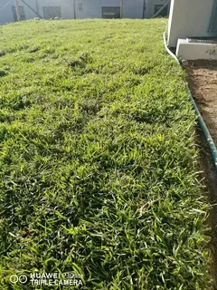 We do supply and installa off national green grass