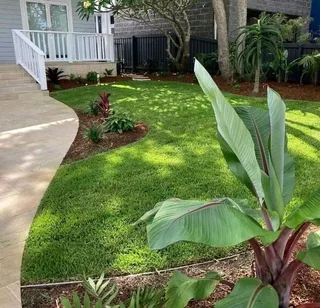 Supply and installa buffalo grass