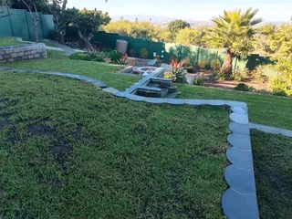 Supply and installa buffalo grass