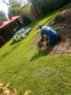 Supply and installa off Kikuyu grass and buffalo grass LM Berea grass weed free