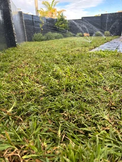 Supply and installa off Kikuyu grass and buffalo grass LM Berea grass weed free