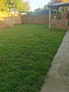 Green And Fresh Grass Straight From The Farm  Whatsapp Number 067270780