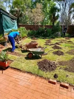 Roll on lawn Kikuyu grass and compost weed free