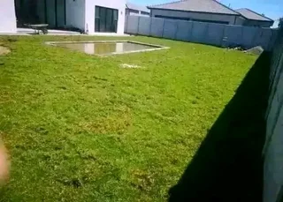 Roll on lawn Kikuyu grass