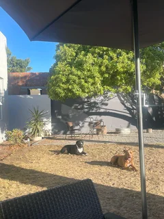 Top soil and compost weed free