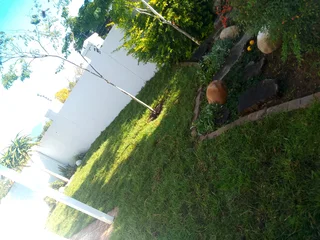 Roll on lawn Kikuyu grass