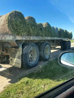 Roll on lawn Kikuyu grass