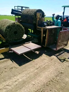 Supply and installa buffalo grass