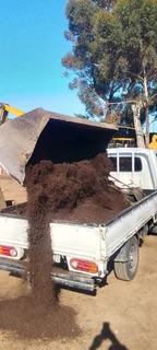 GREEN AND FRESH GRASS STRAIGHT FROM THE FARM  WhatsApp number 067270780