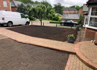 GREEN AND FRESH GRASS STRAIGHT FROM THE FARM  WhatsApp number 067270780