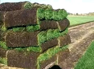 We do supply and installa call type of national grass