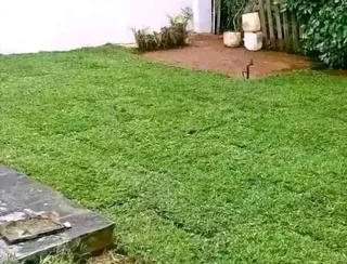 We do supply and installa call type of national grass